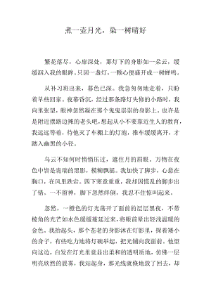 煮一壶月光染一树晴好.docx