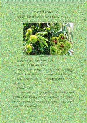 文太守吃板栗的故事.docx