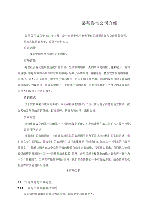 某某咨询公司介绍.docx