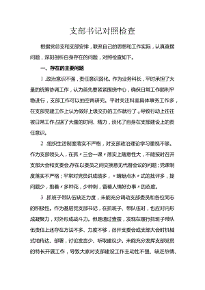 支部书记对照检查.docx