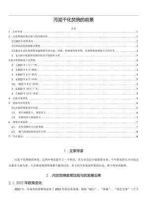 污泥干化焚烧的前景.docx