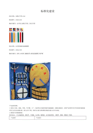 标准化建设.docx