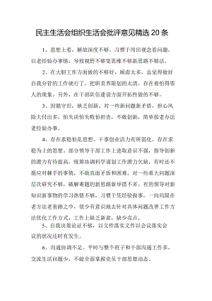 民主生活会组织生活会批评意见精选20条.docx