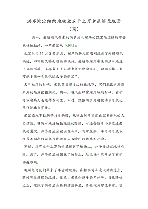 洪水淹没纽约地铁致成千上万老鼠逃至地面(图).docx