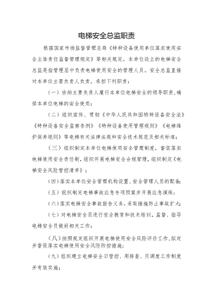 电梯安全总监职责.docx