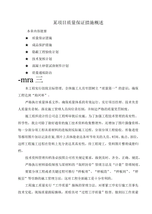 某项目质量保证措施概述.docx