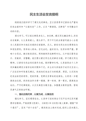 民主生活会发言提纲.docx