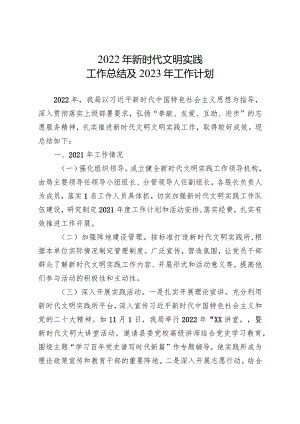 新时代文明实践工作总结及工作计划.docx