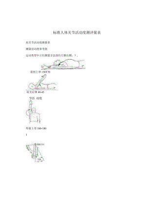 标准人体关节活动度测评量表.docx