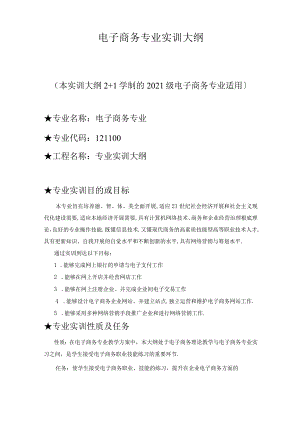 电子商务电子商务专业实训大纲.docx