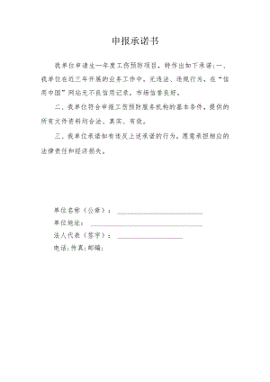 申报承诺书.docx