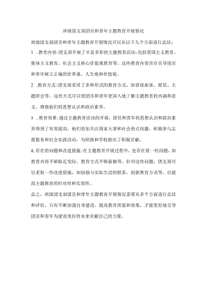 班级团支部团员和青年主题教育开展情况.docx