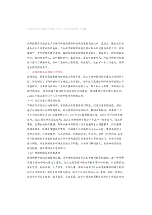 某集团关于20XX年内控体系工作情况的报告（收藏）.docx