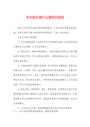 毛孔粗大是什么原因引起的.docx