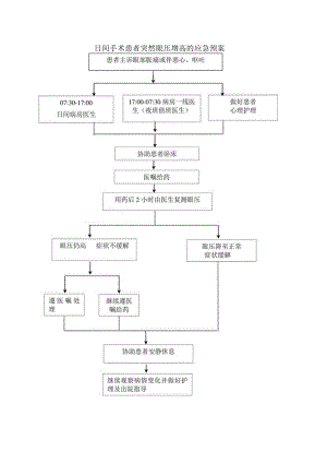 日间手术患者眼压突然增高的应急预案.docx