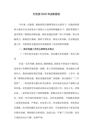 村支部2022年述职报告.docx