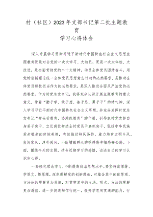 村（社区）2023年支部书记第二批主题教育学习心得体会.docx