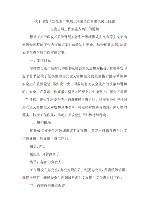 煤矿安全生产领域形式主义官僚主义突出问题自查自纠工作实施方案的通知.docx