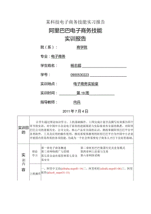 某科技电子商务技能实习报告.docx