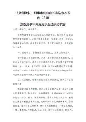 法院副院长、刑事审判庭庭长当选表态发言2篇.docx