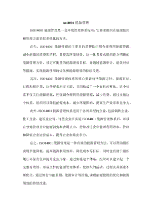 iso14001能源管理.docx