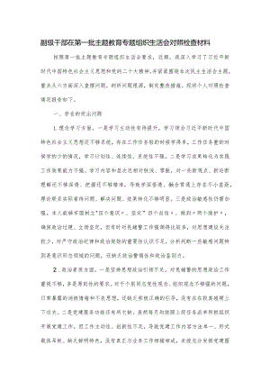 副级干部在第一批主题教育专题组织生活会对照检查材料.docx