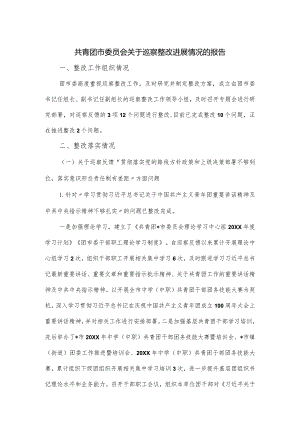 共青团市委员会关于巡察整改进展情况的报告.docx
