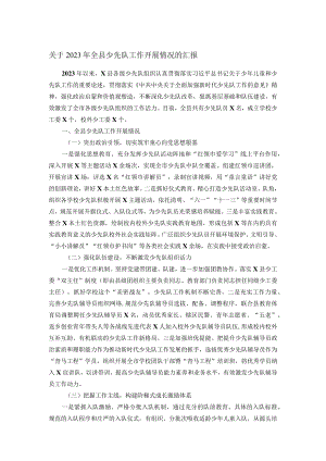 关于2023年全县少先队工作开展情况的汇报.docx