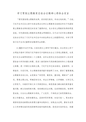 学习贯彻主题教育总结会议精神心得体会发言.docx
