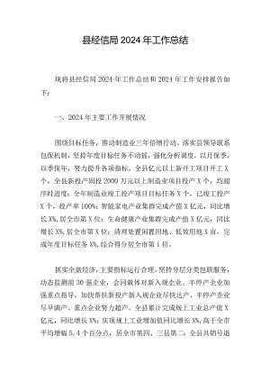 县经信局2024年工作总结.docx
