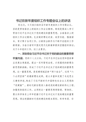 书记在新年度组织工作专题会议上的讲话.docx