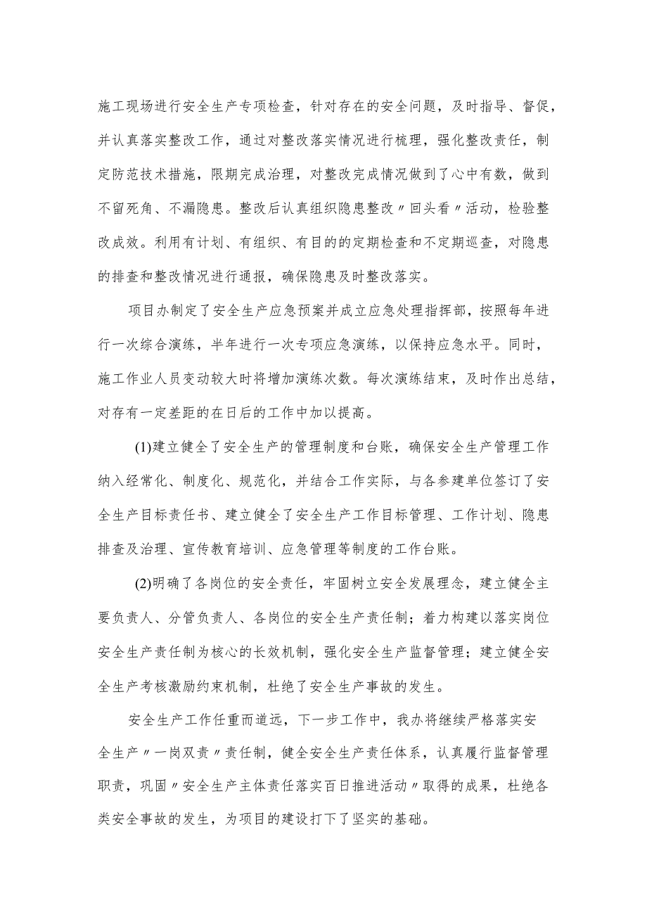 安全生产主体责任落实百日推进活动发言提纲.docx_第2页