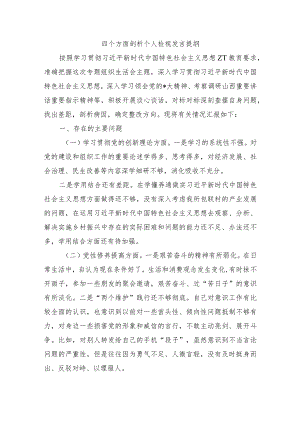 四个方面剖析个人检视发言提纲.docx