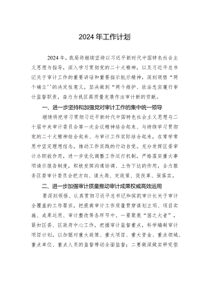 2024年工作计划).docx
