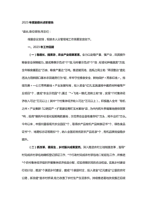 2023年度副县长述职报告.docx