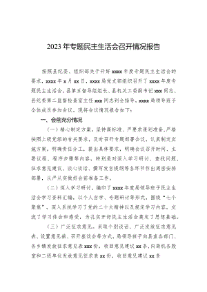 2023年专题民主生活会召开情况报告.docx