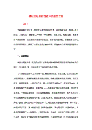 基层主题教育自查评估报告三篇.docx