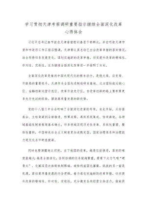 学习贯彻天津考察调研重要指示继续全面深化改革心得体会.docx