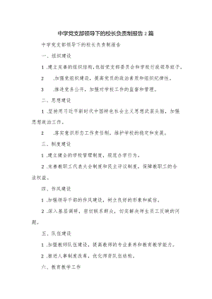 中学党支部领导下的校长负责制报告2篇.docx