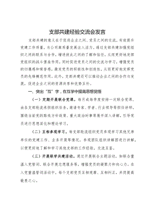支部共建经验交流会发言材料.docx