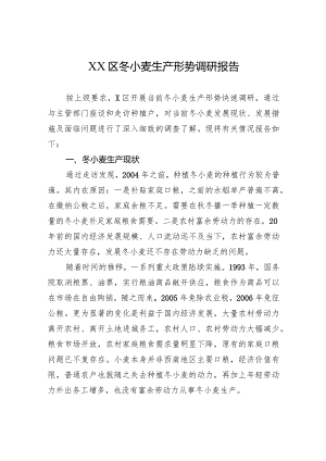 XX区冬小麦生产形势调研报告.docx