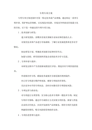 专利专项方案.docx