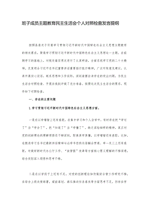 班子成员主题教育民主生活会个人对照检查发言提纲.docx