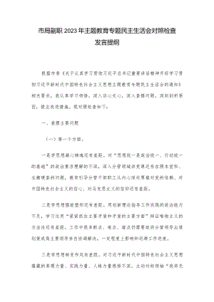市局副职2023年主题教育专题民主生活会对照检查发言提纲.docx