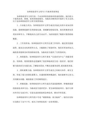 协和检验 青年文明号口号集体简要事迹.docx