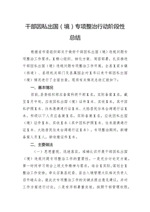干部因私出国（境）专项整治行动阶段性总结.docx