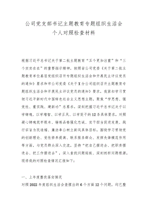 公司党支部书记主题教育专题组织生活会个人对照检查材料.docx