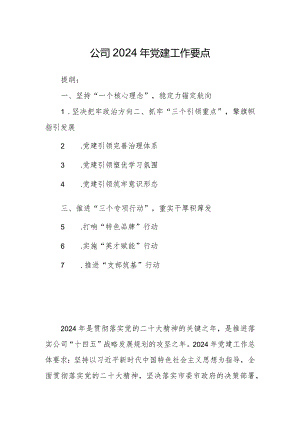 公司2024年党建工作要点.docx