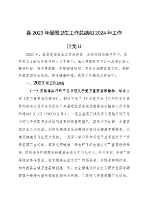 县2023年爱国卫生工作总结和2024年工作计划.docx