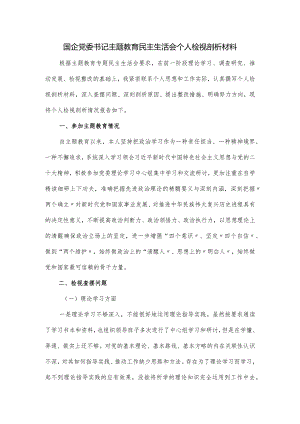 国企党委书记主题教育民主生活会个人检视剖析材料（6个方面）.docx